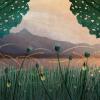 Colorado Firefly Illustration
