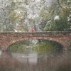 snowy bridge