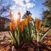 Spring is here