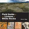 lichens cover