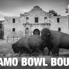 alamo 