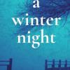 A Winter Night