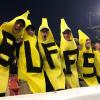 cu bananas 