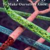 Cover of Bioprinting book 
