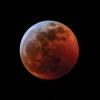 Photo of the Blood Wolf Moon