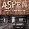 The cover is made to look like wooden boards with a small image of the inside of a tree house with a boy sitting and looking at the floor.  It reads the title: Growing Up Aspen, Adventures of the Unsupervised.