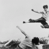 bruce lee