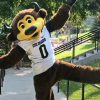 CU Mascot Chip
