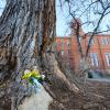 Old Main Cottonwood