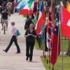 flags for conference world affairs