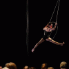 aerial dancer