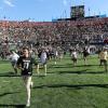 Fans charging the field