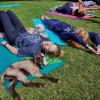 Students hang out with goats as they do yoga