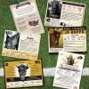 infographic