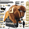 alphie infographic