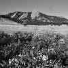 the flatirons