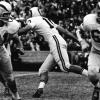 joe romig