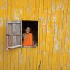 senior monk