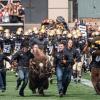 Ralphie Run at a football game