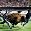 ralphie running 