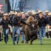 ralphie running