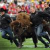 ralphie running