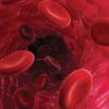 red blood cells