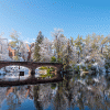 Varsity Bridge and the surrounding trees covered by an early season snowfall.