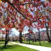 spring scenic