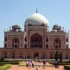Wild India