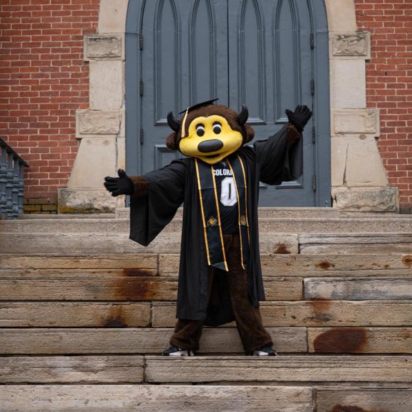 Mascot Chip in a cap and gown