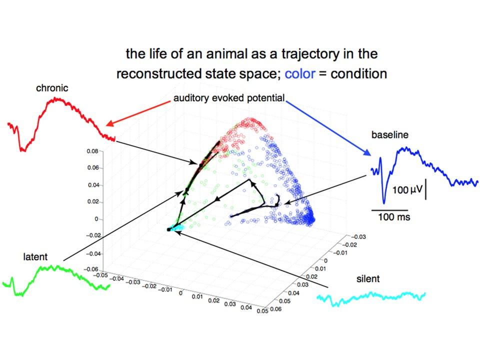 Low dimentional manifold in high dimensional data