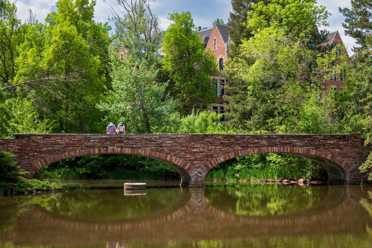 Campus Bridge Scenic