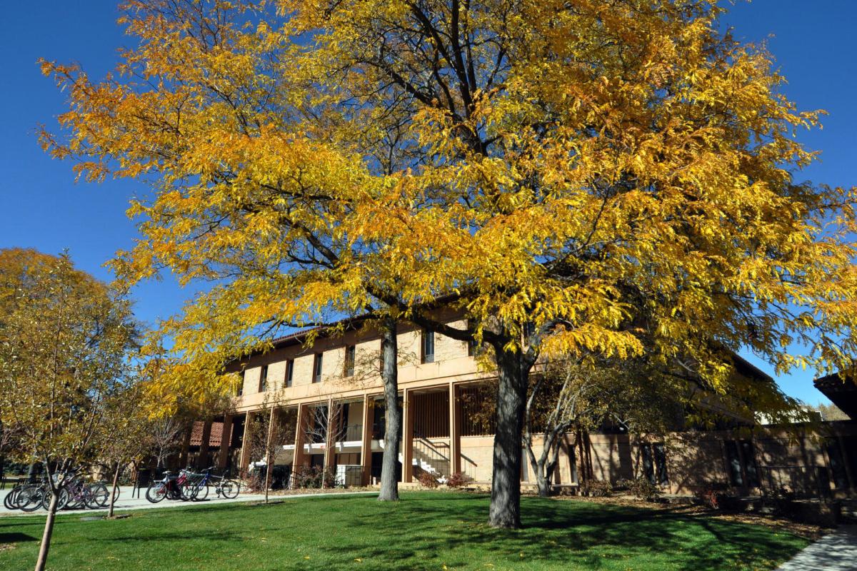 Regent building