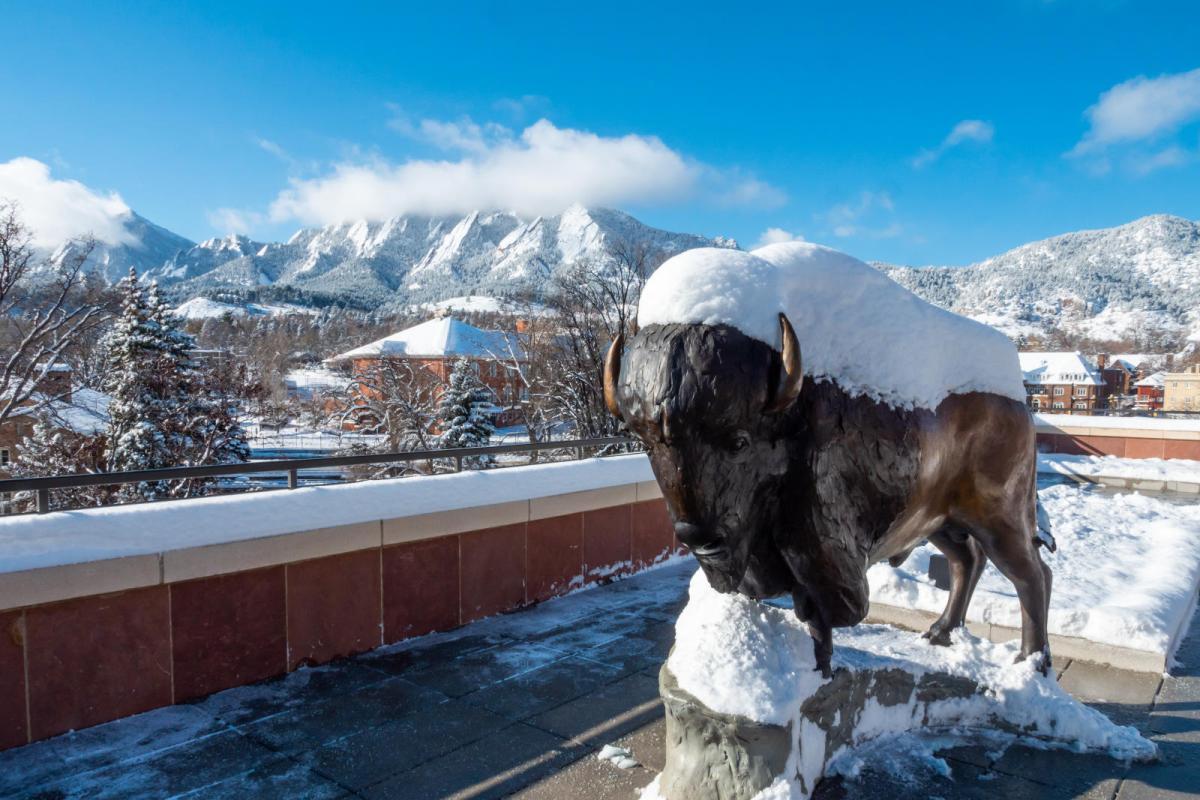 Buffalo statue covered in snow