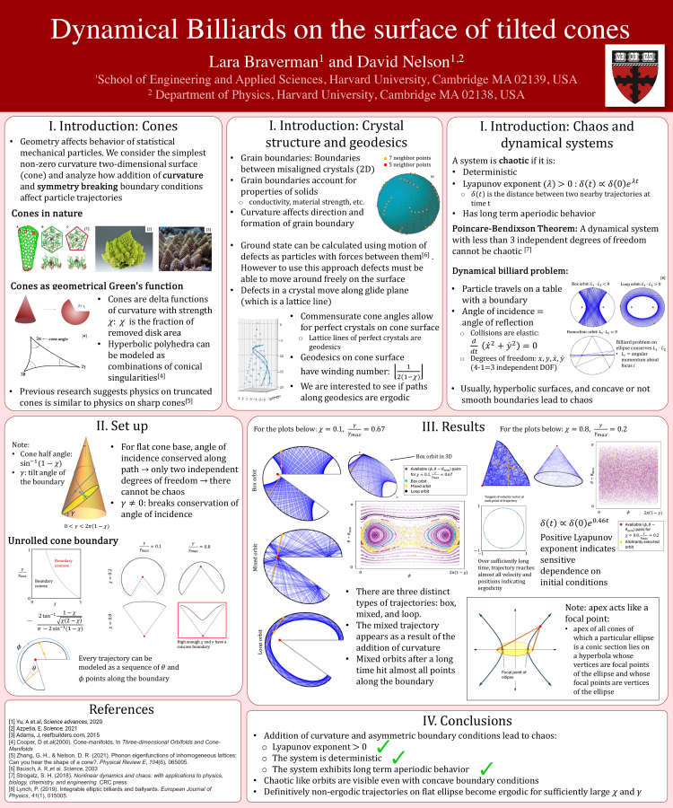 Lara Braverman poster