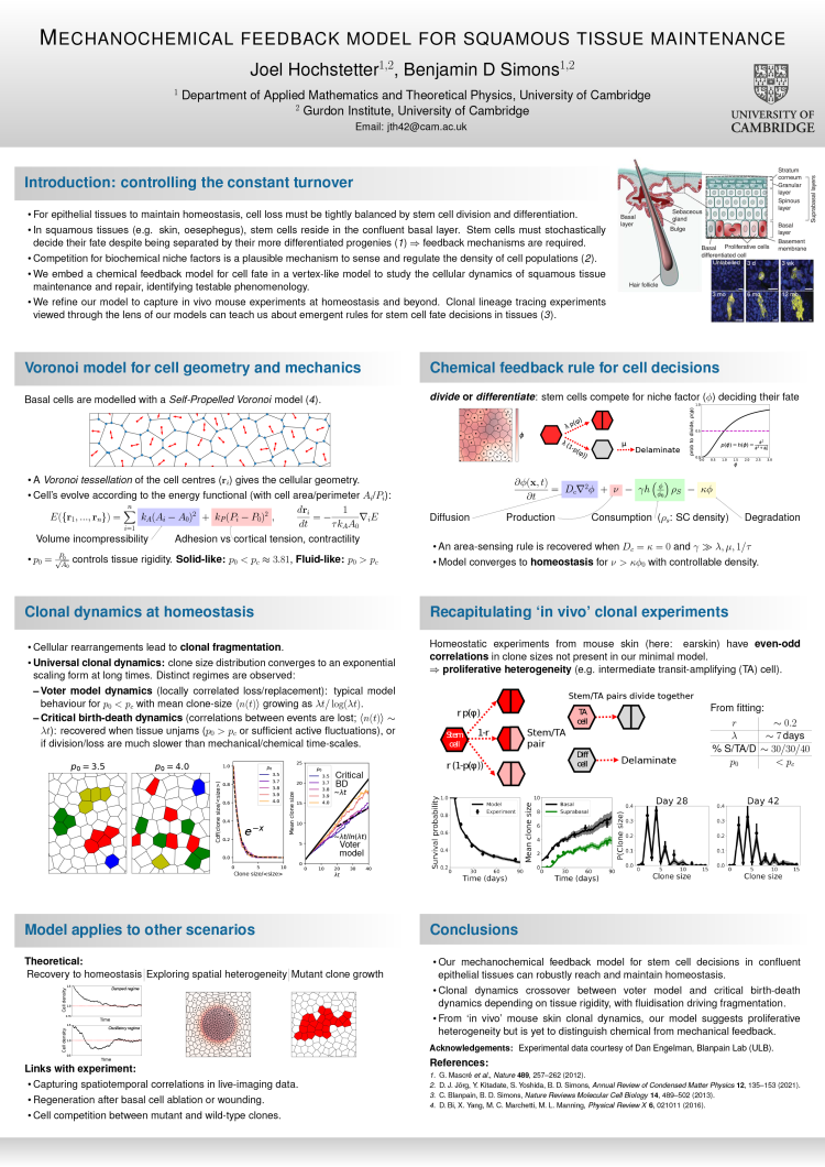 Joel Hochstetter poster