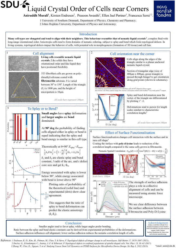 Aniruddh Murali poster