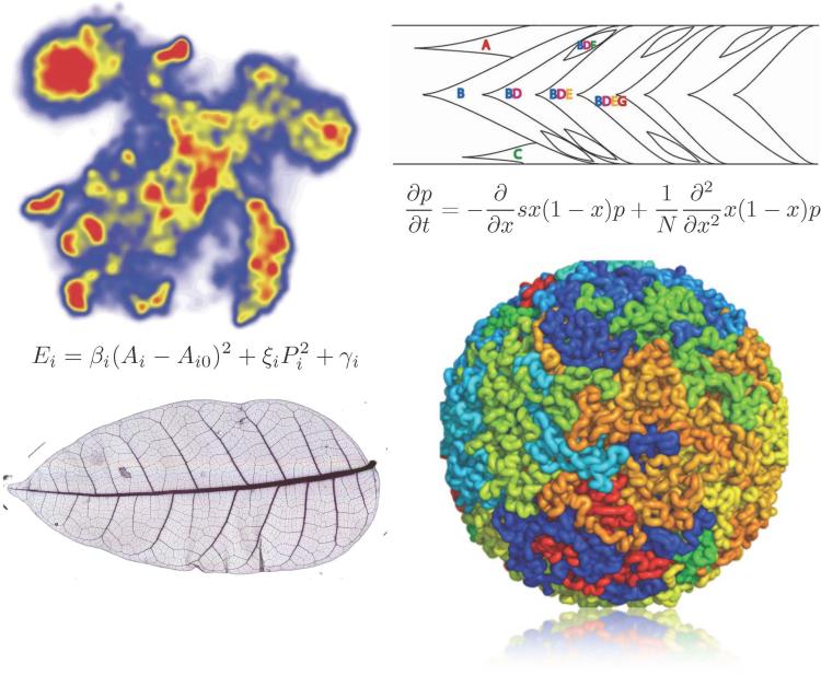 BSS2019 image