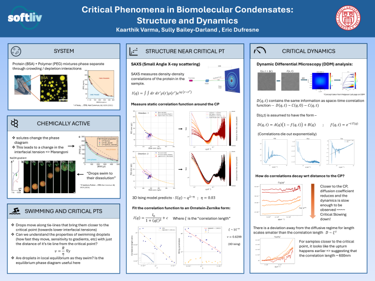 Kaarthik Varma poster