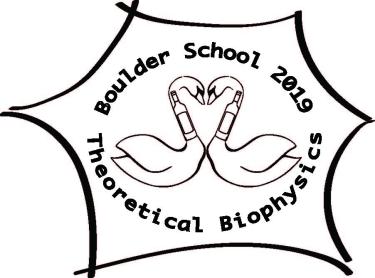 Stephanie Palmer & Leonid Mirny tee-shirt design pocket swans