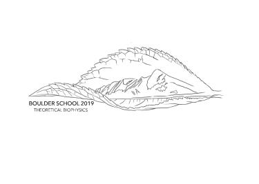 Grace Zhang Tee-Shirt Entry light