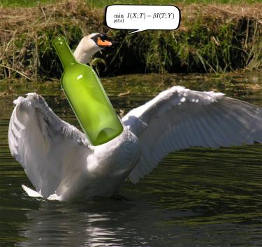 Liam O’Shaughnessy Tee-Shirt entry