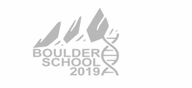 Giulio Isacchini Tee-Shirt design A