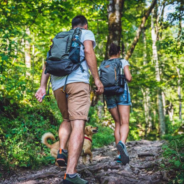 Couple hiking in the woods with a dog