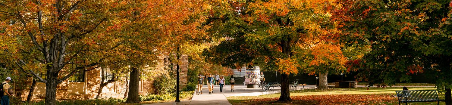 fall leaves on campus