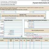 Screen shot of the payment authorization form