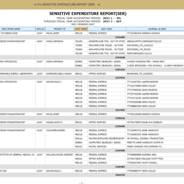 screen shot of report