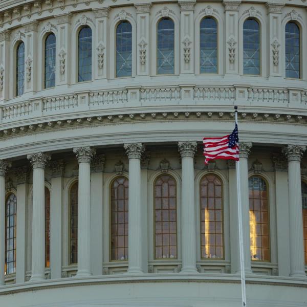 The dome of the United States Capitol Building in Washington, DC.