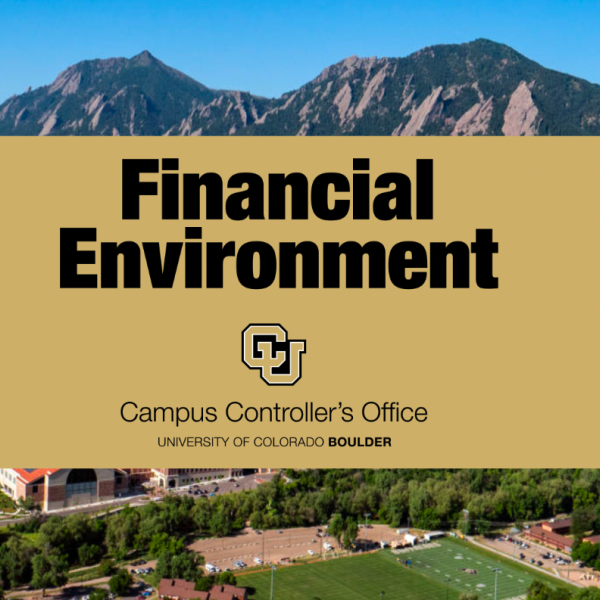 Screenshot of the Financial Environment training